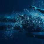 reclama-scuba-content
